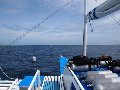 フィリピン・ボホール海
