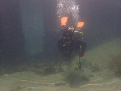 勝浦・志村ビーチ海中風景